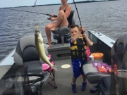 colton walleye